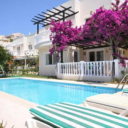 Villa Romantica 18